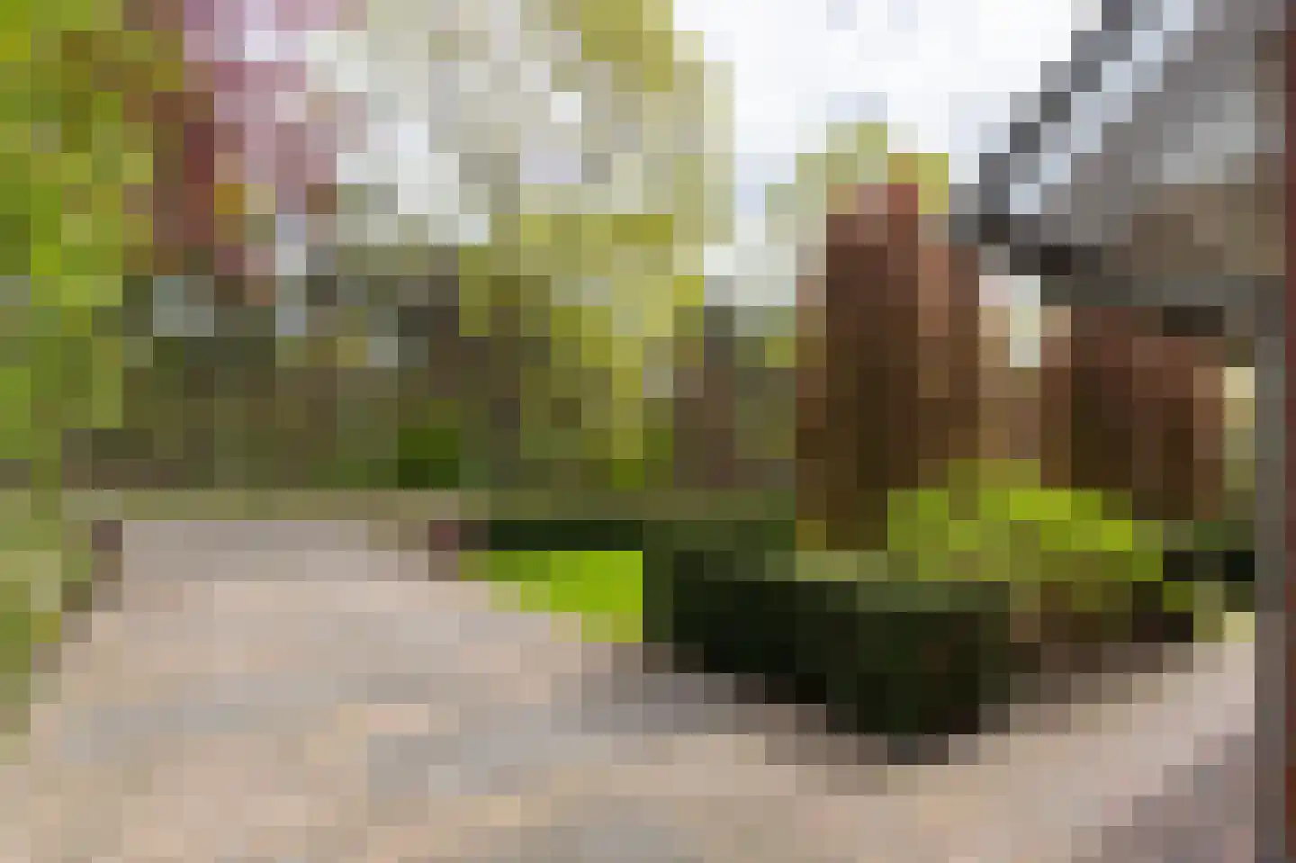 Coendersberglaan 5 Helmond thumbnail 5