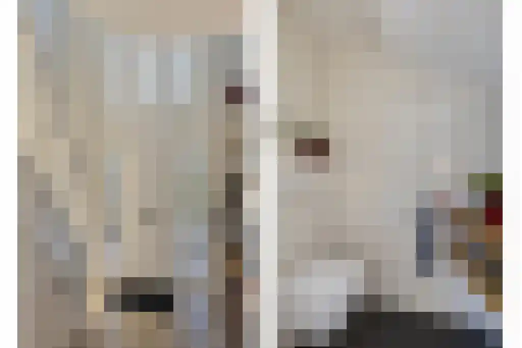 Coendersberglaan 5 Helmond thumbnail 7