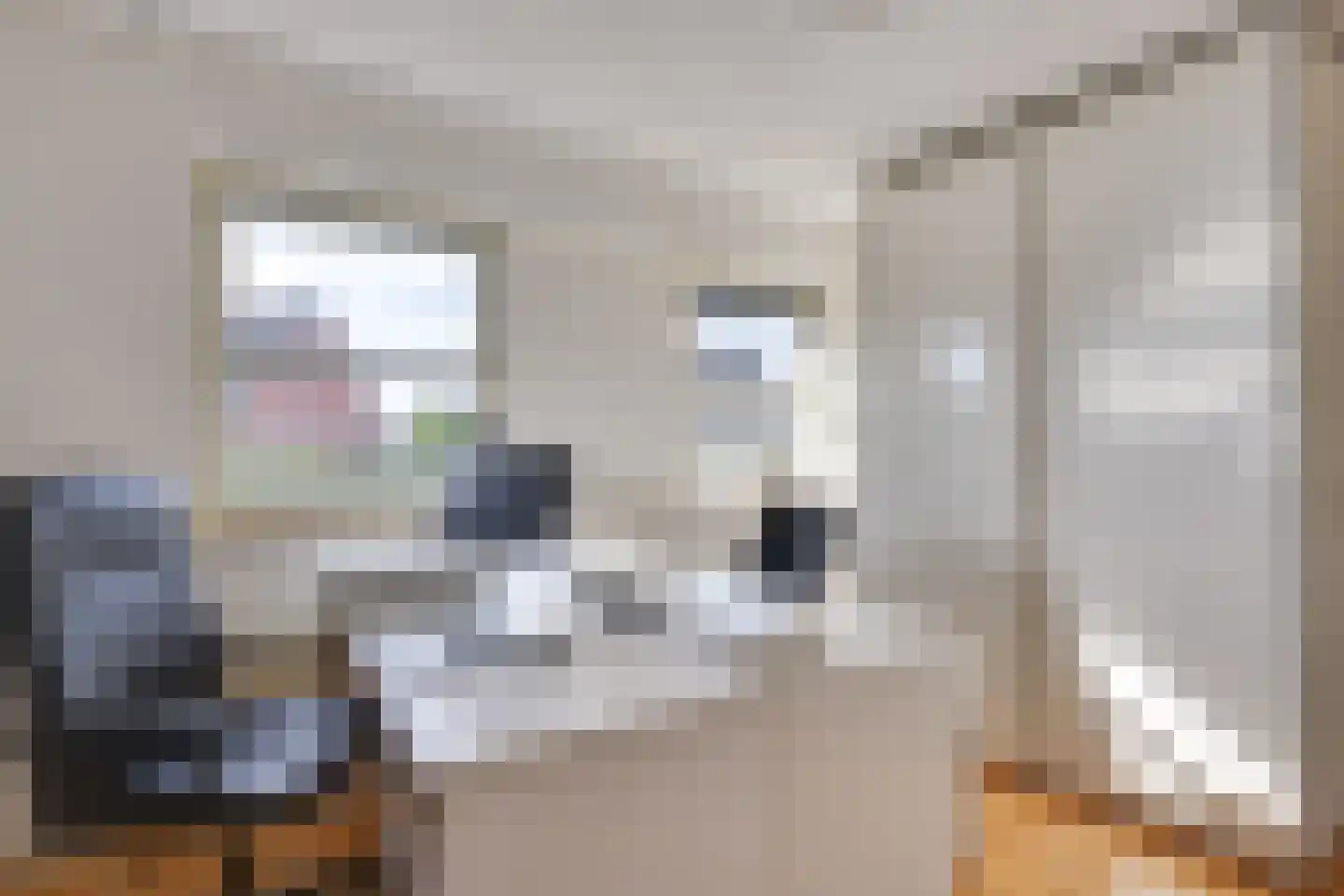 Coendersberglaan 61 Helmond thumbnail 31