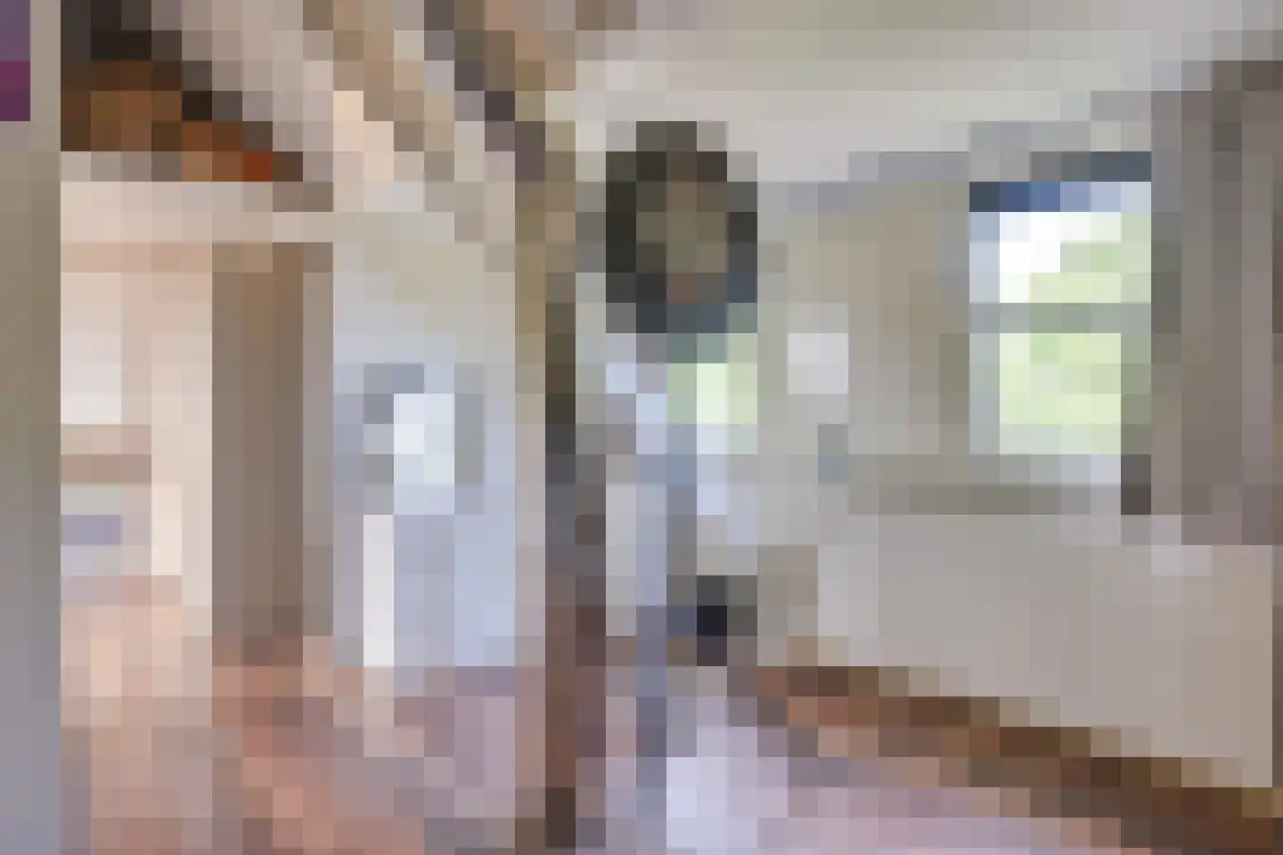Coendersberglaan 61 Helmond thumbnail 37