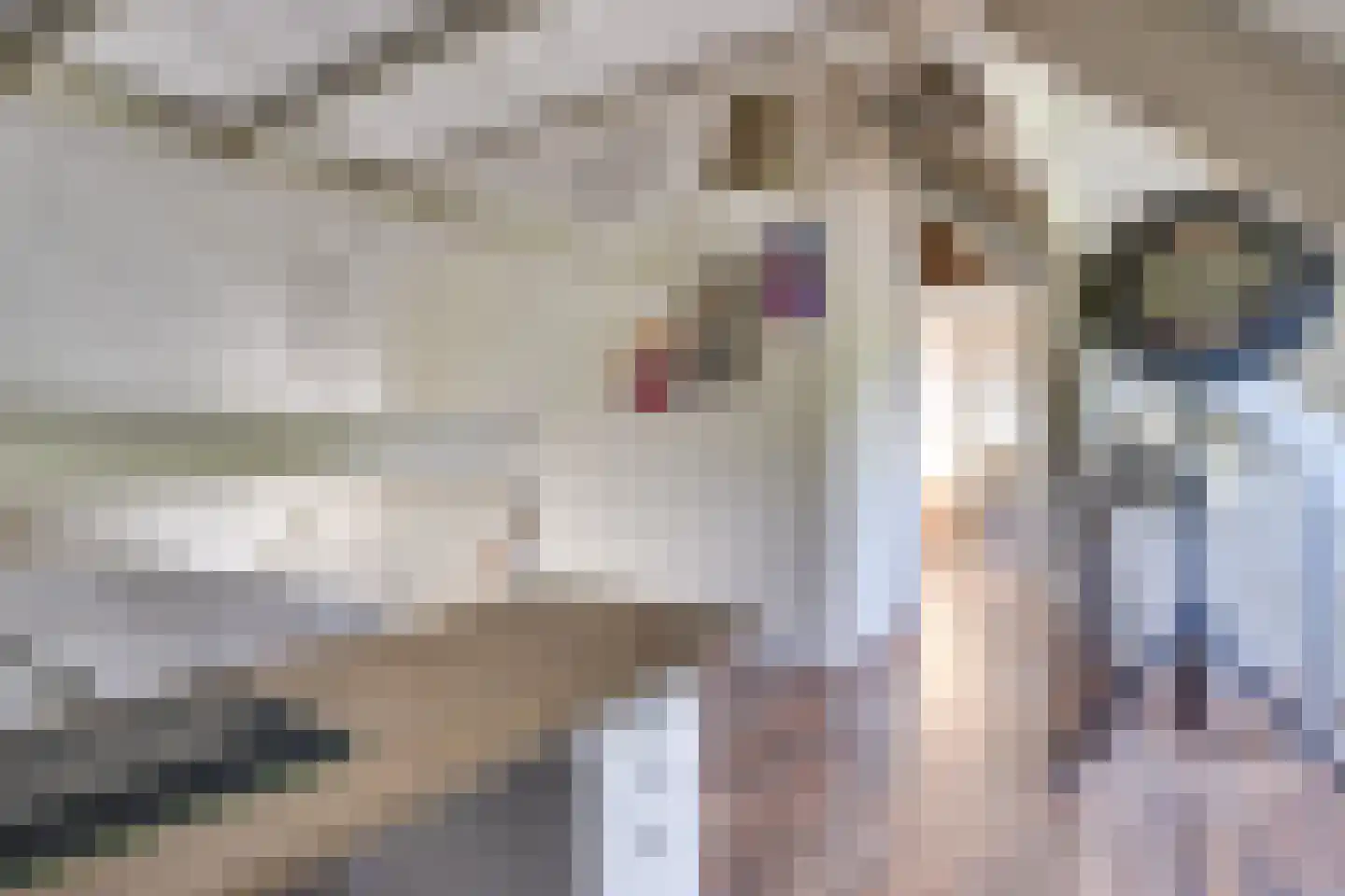 Coendersberglaan 61 Helmond thumbnail 38