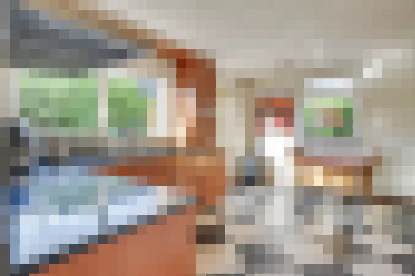 Coendersberglaan 61 Helmond thumbnail 4