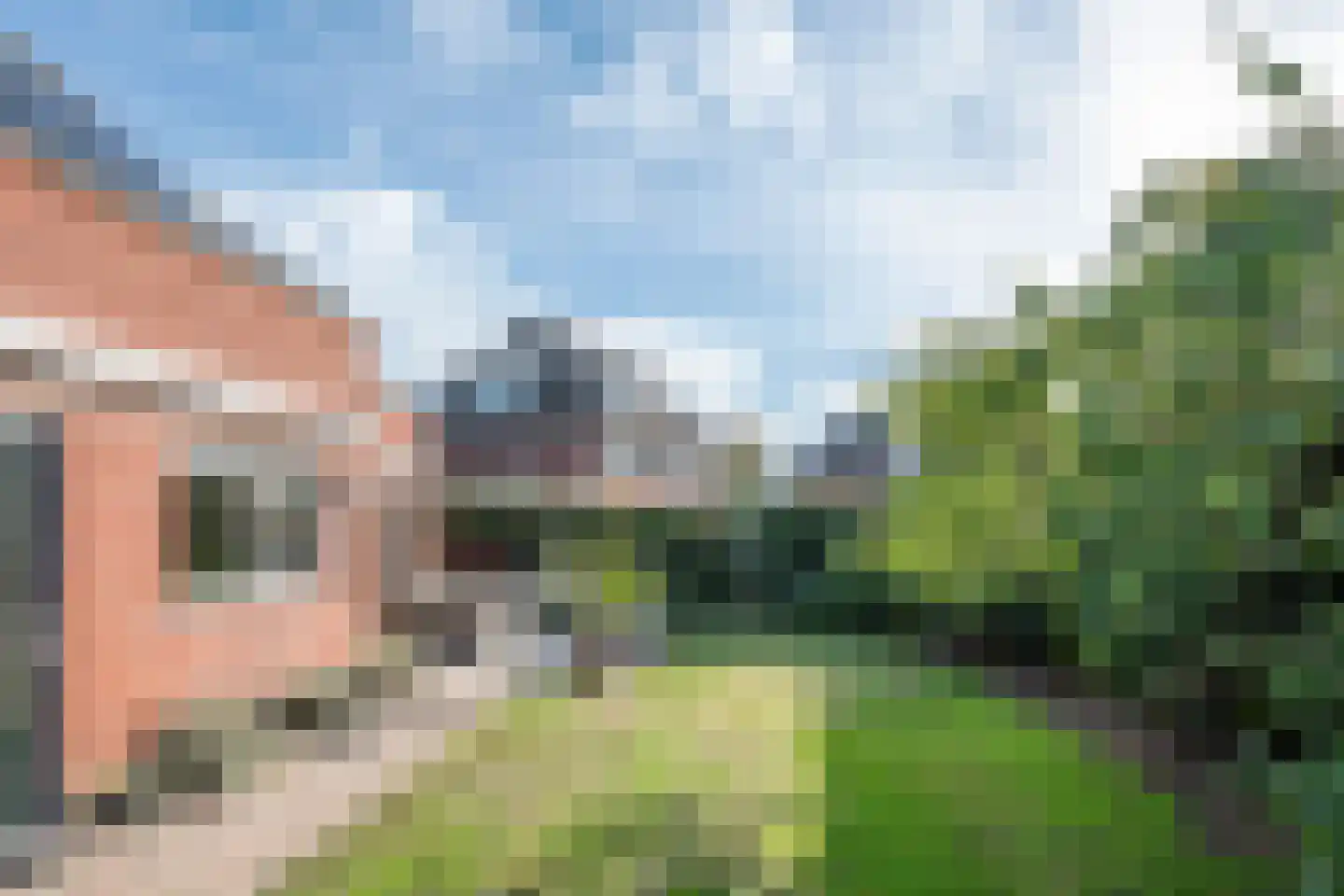 Coendersberglaan 61 Helmond thumbnail 40