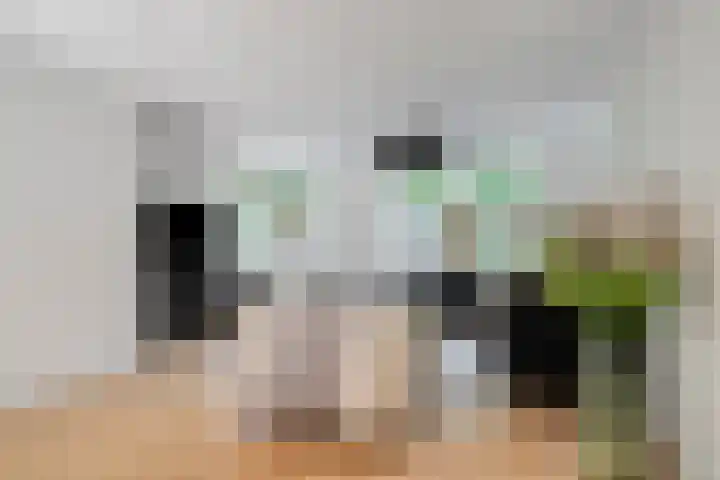 Coendersberglaan 65 Helmond thumbnail 12