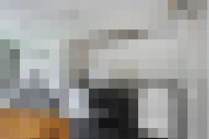 Coendersberglaan 65 Helmond thumbnail 16