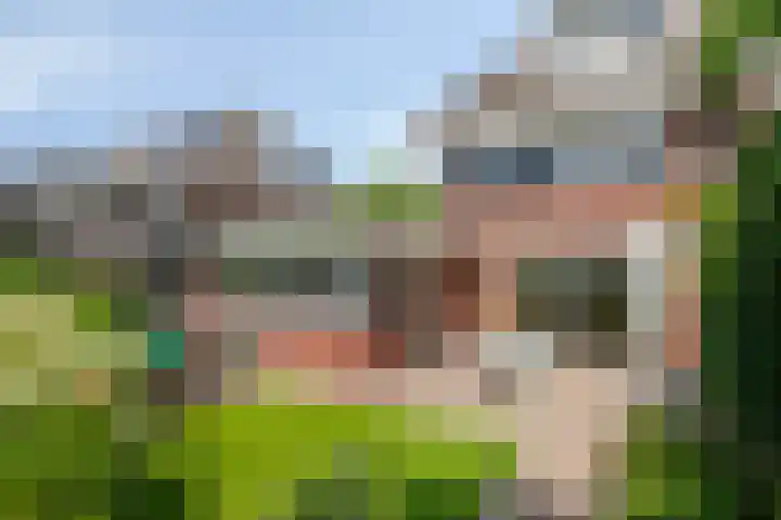 Coendersberglaan 65 Helmond thumbnail 32