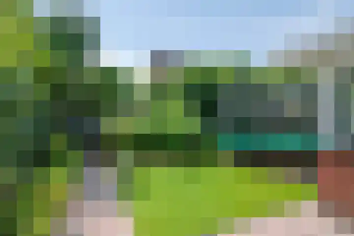 Coendersberglaan 65 Helmond thumbnail 34