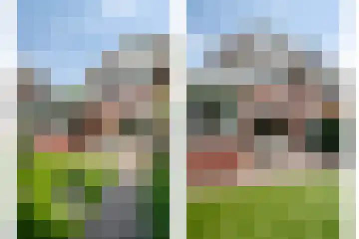 Coendersberglaan 65 Helmond thumbnail 35