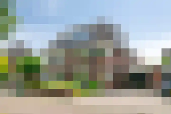 Coendersberglaan 65 Helmond thumbnail 43