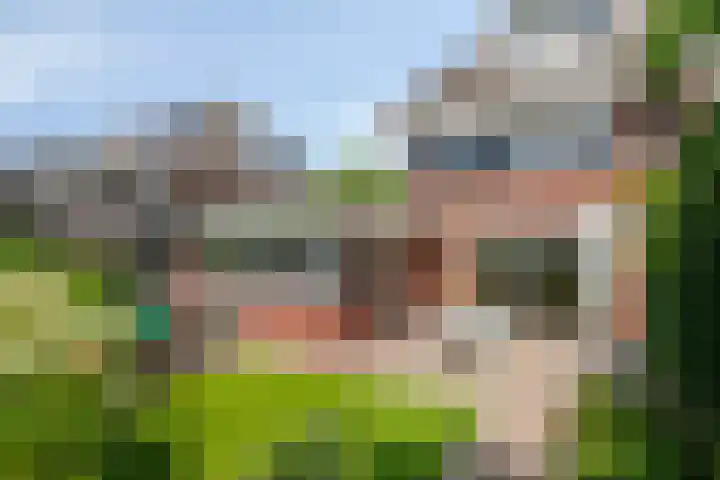 Coendersberglaan 65 Helmond thumbnail 6