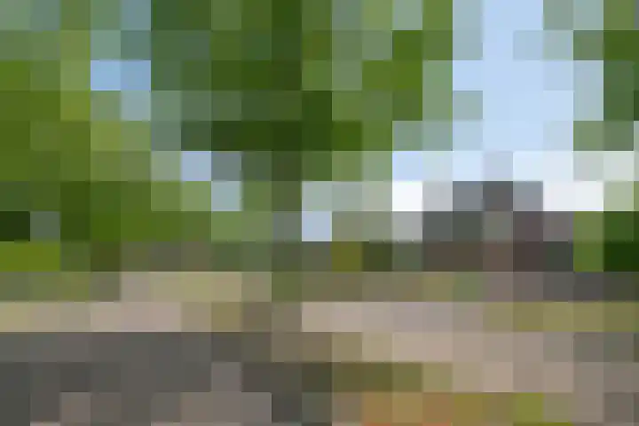 Coendersberglaan 65 Helmond thumbnail 9
