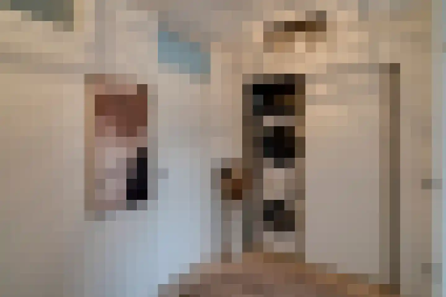 Coendersberglaan 67 Helmond thumbnail 27