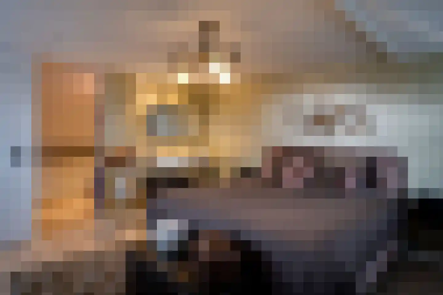 Coendersberglaan 67 Helmond thumbnail 39
