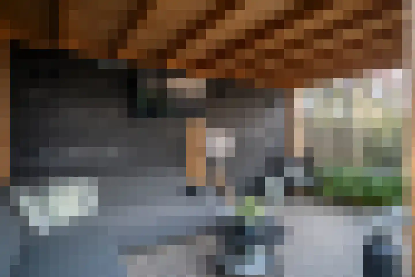 Coendersberglaan 67 Helmond thumbnail 48