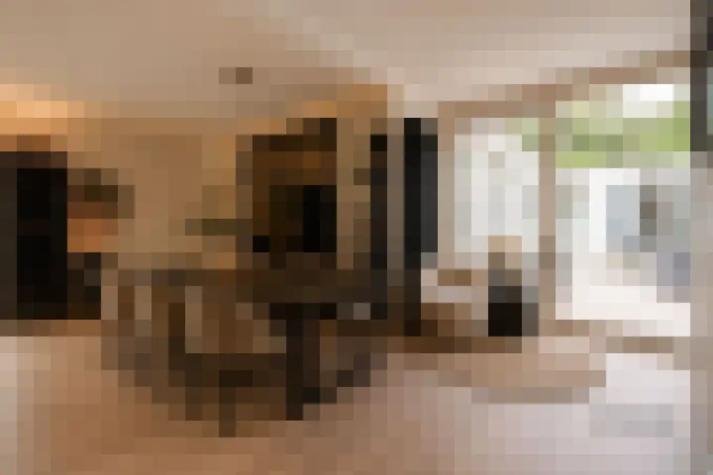 Coendersborg 1 Almelo thumbnail 12