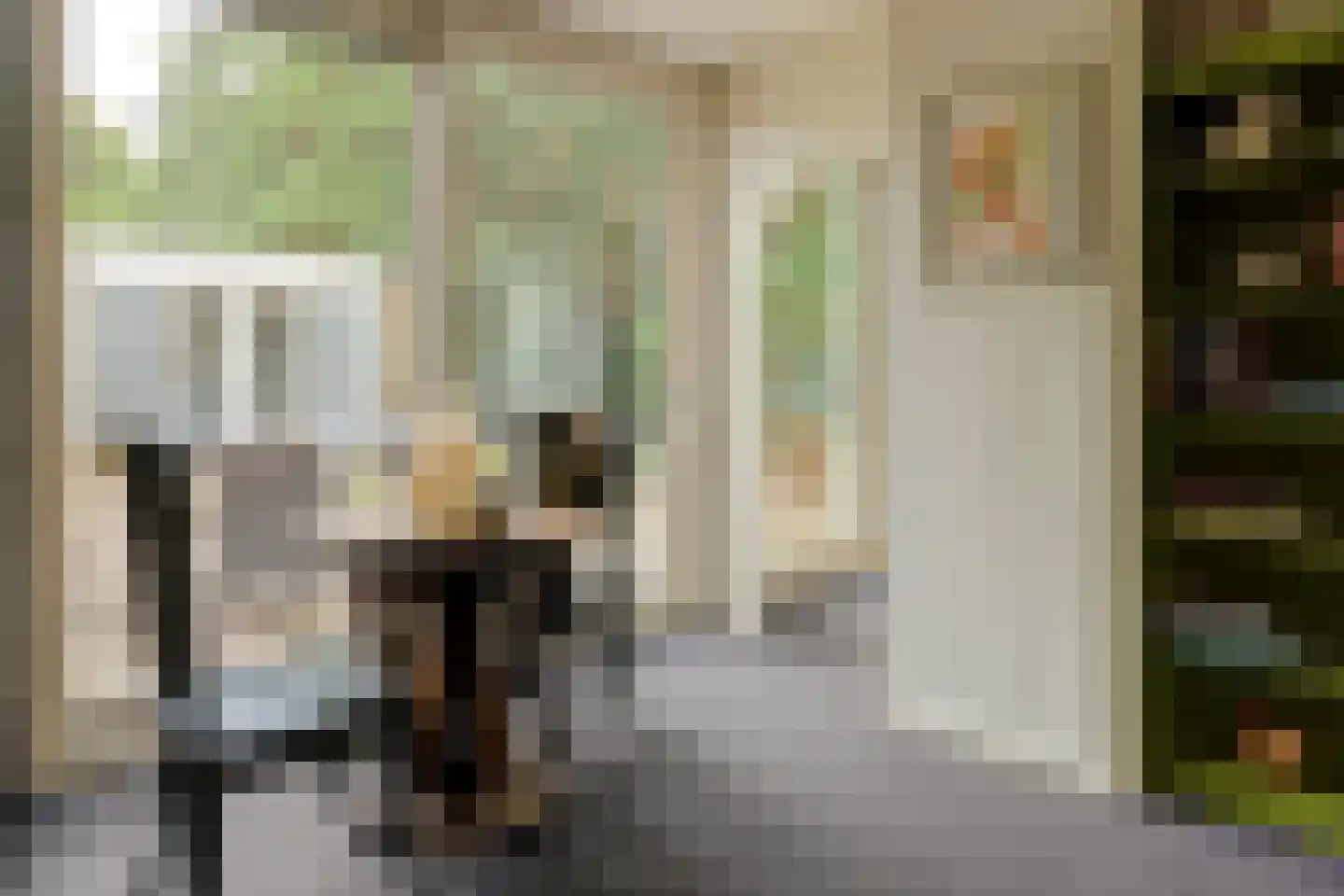 Coendersborg 1 Almelo thumbnail 13