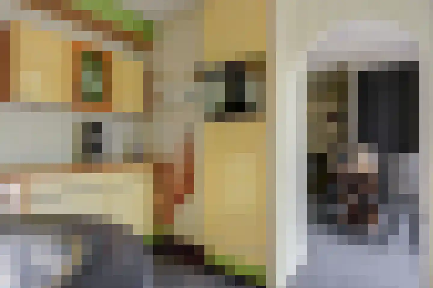 Coendersborg 1 Almelo thumbnail 21