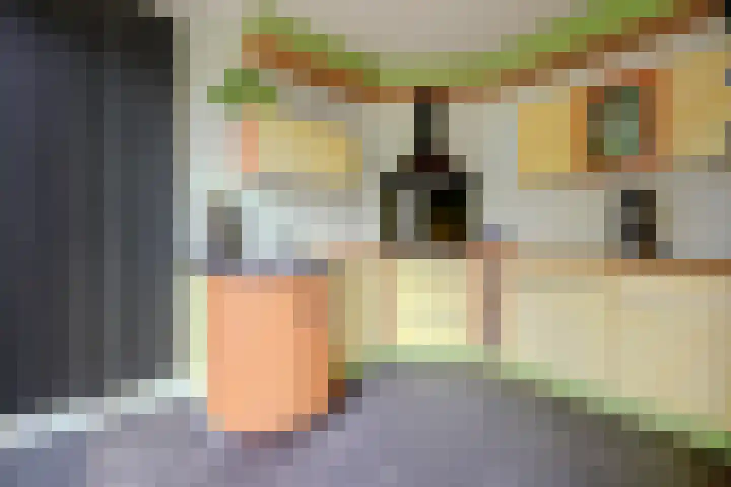 Coendersborg 1 Almelo thumbnail 22