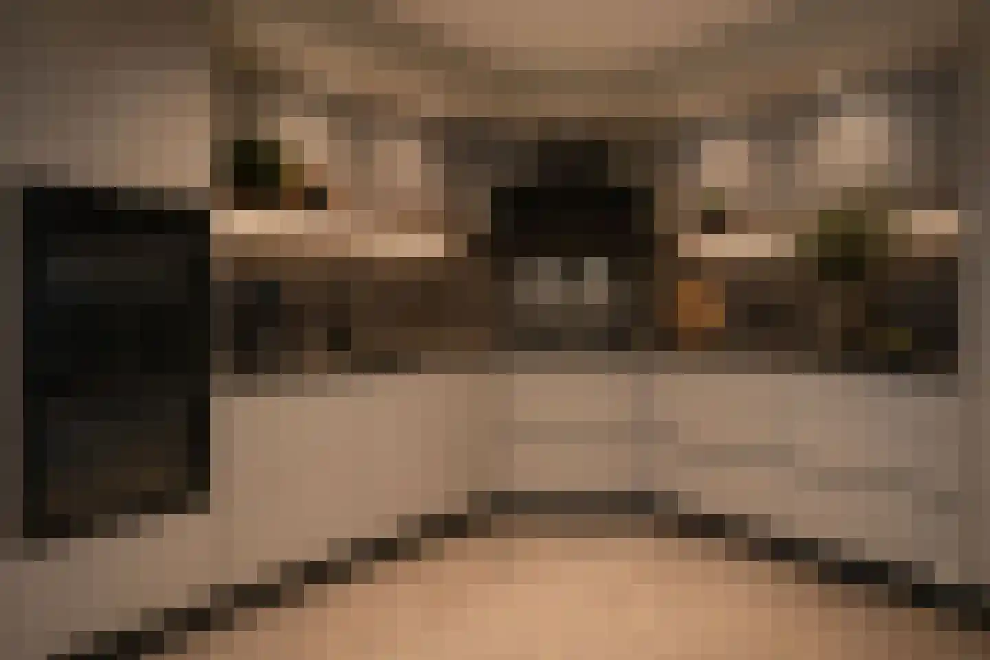 Coendersborg 1 Almelo thumbnail 23