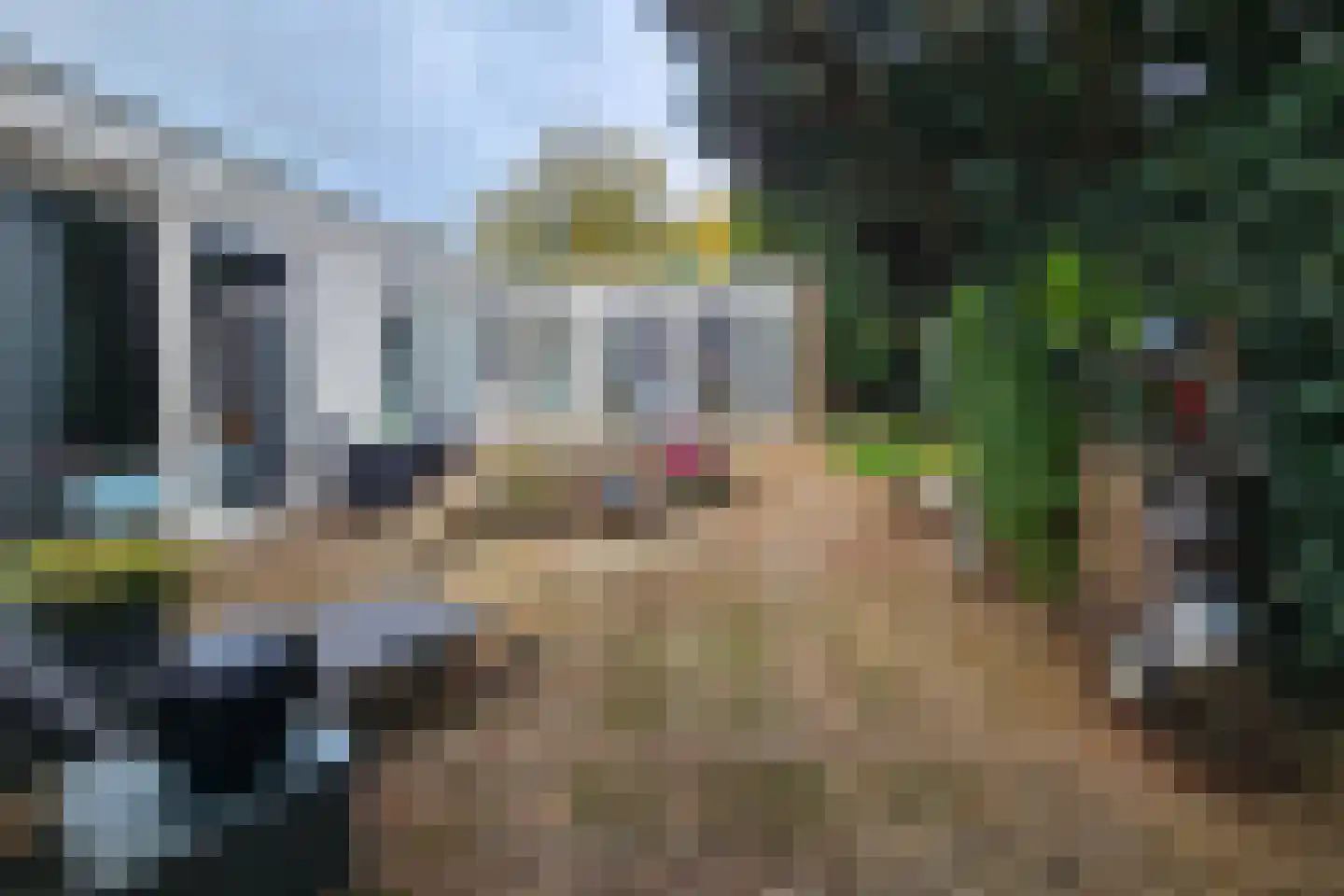 Coendersborg 1 Almelo thumbnail 27