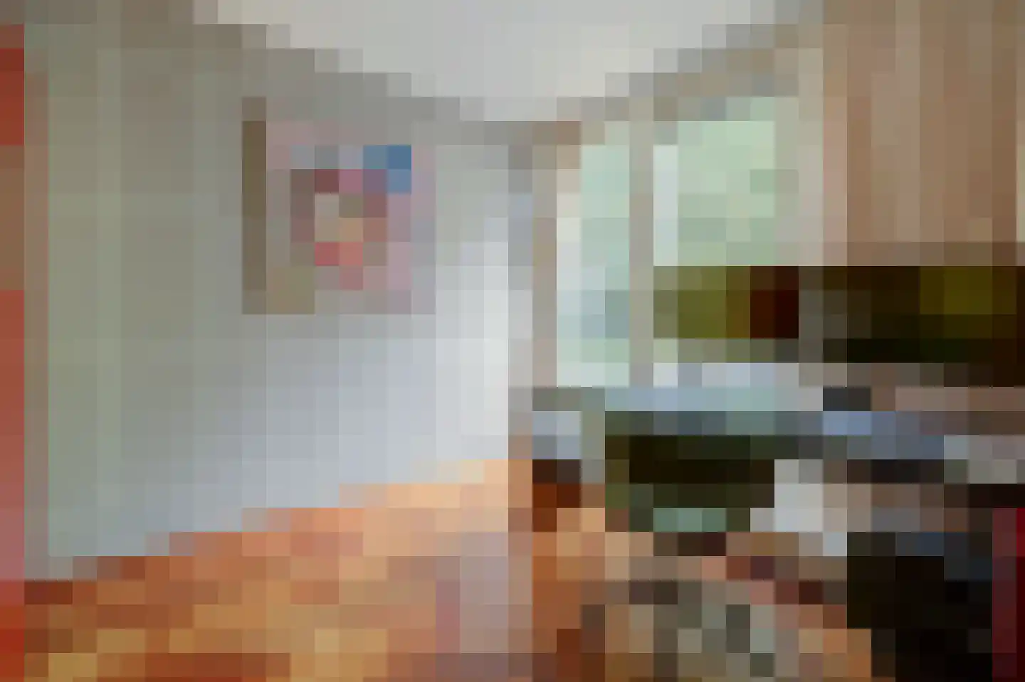 Coendersborg 1 Almelo thumbnail 27