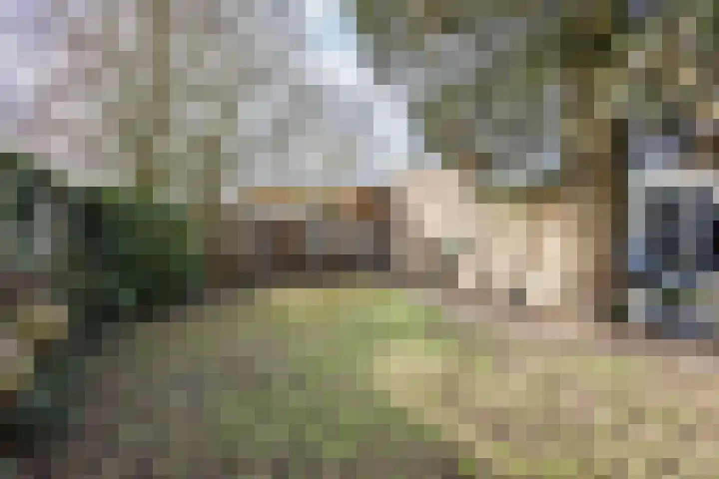 Coendersborg 1 Almelo thumbnail 28