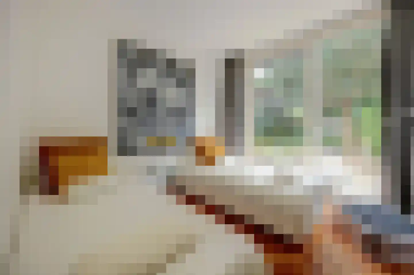 Coendersborg 1 Almelo thumbnail 30