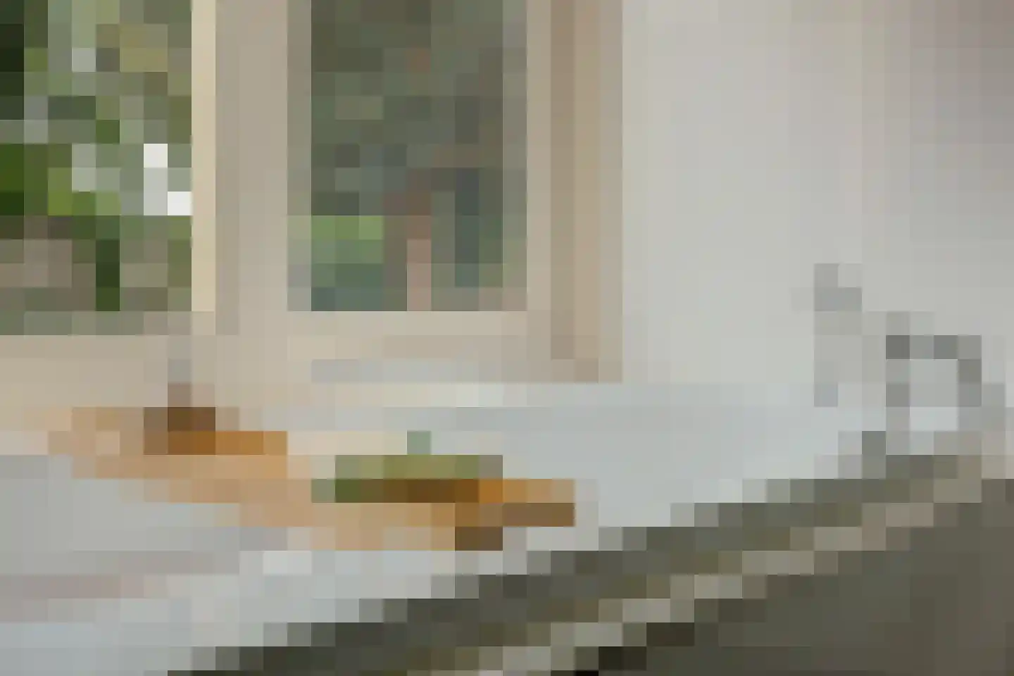 Coendersborg 1 Almelo thumbnail 33