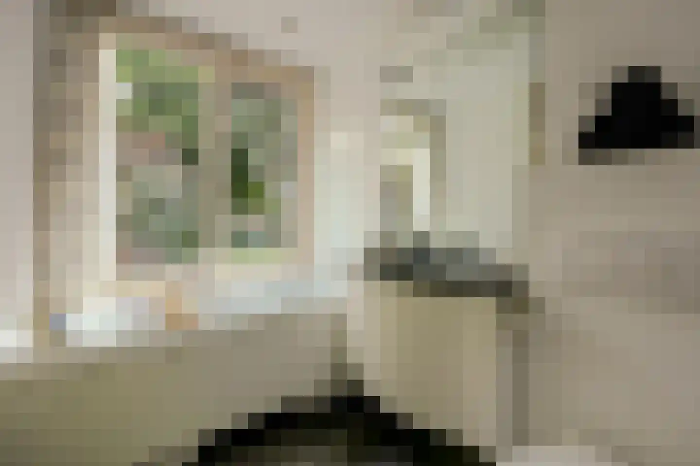 Coendersborg 1 Almelo thumbnail 35