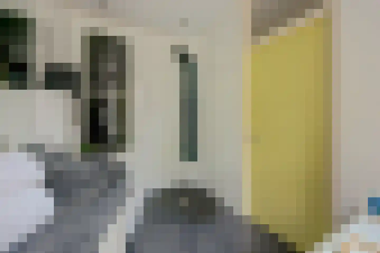 Coendersborg 1 Almelo thumbnail 36