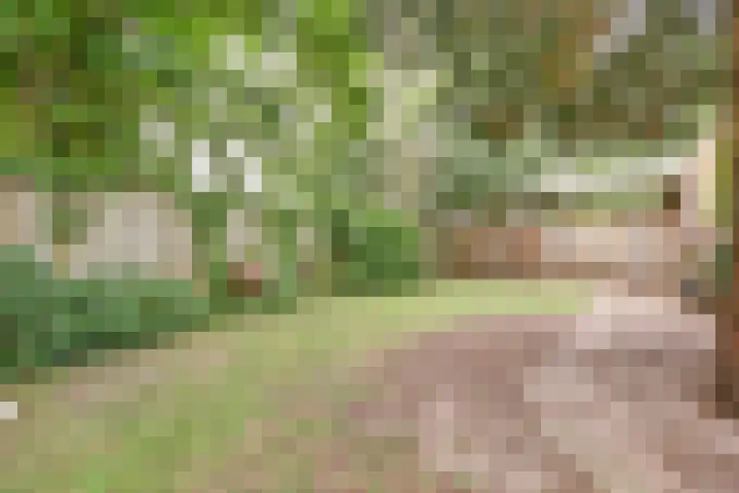 Coendersborg 1 Almelo thumbnail 41