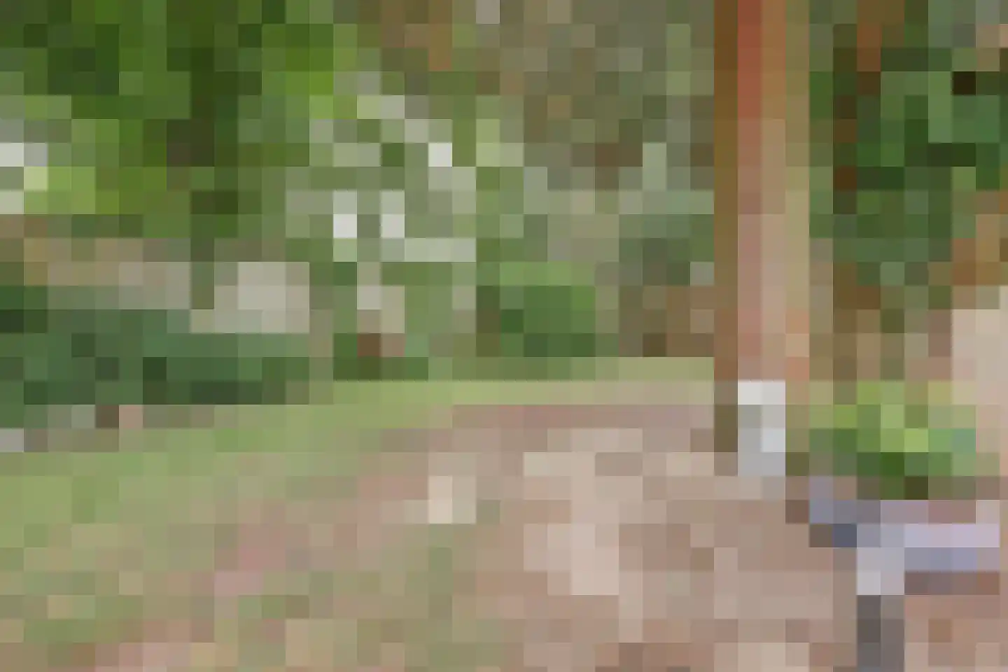Coendersborg 1 Almelo thumbnail 45
