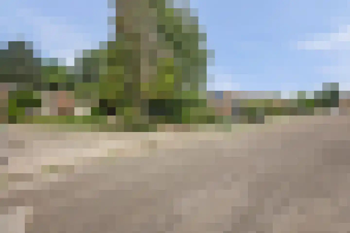 Coendersborg 1 Almelo thumbnail 6