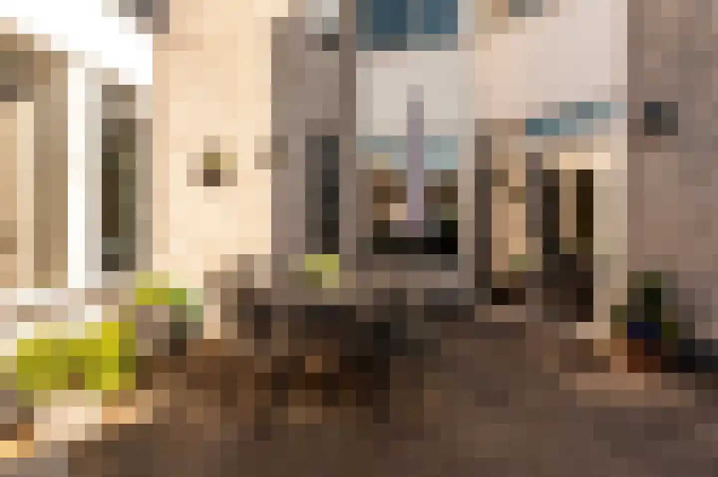 Coendersborgstraat 22 Almere thumbnail 30