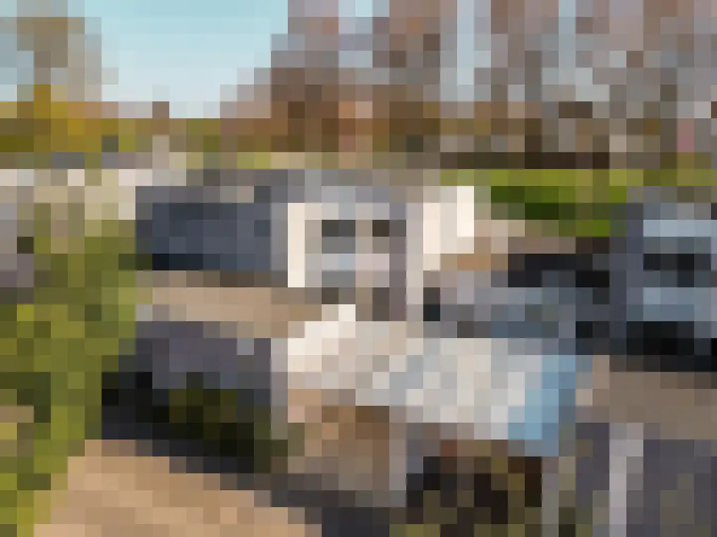 Coendersborgstraat 22 Almere thumbnail 51