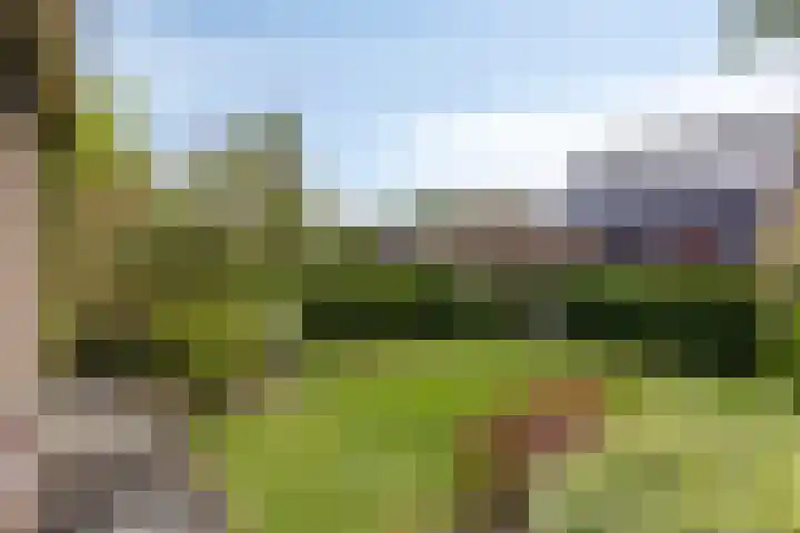Coenderslaan 16 Nuis thumbnail 10