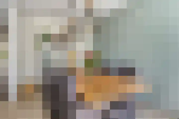Coenderslaan 16 Nuis thumbnail 19
