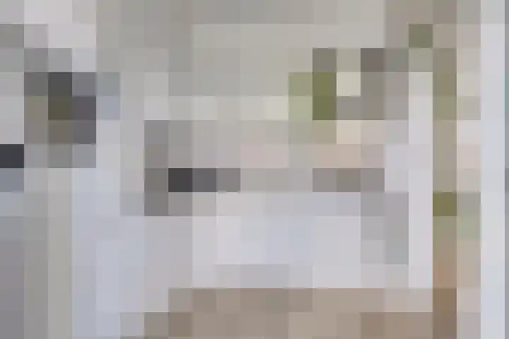 Coenderslaan 16 Nuis thumbnail 23