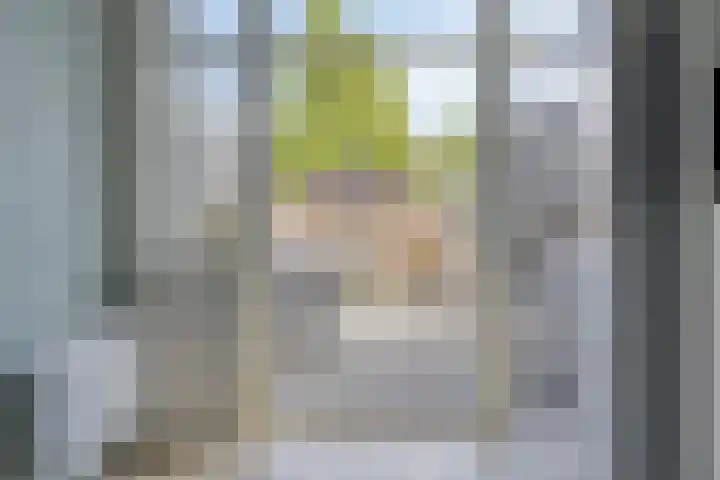 Coenderslaan 16 Nuis thumbnail 24
