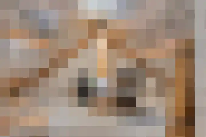 Coenderslaan 16 Nuis thumbnail 37