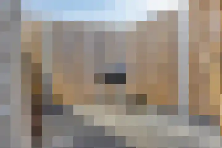 Coenderslaan 16 Nuis thumbnail 41