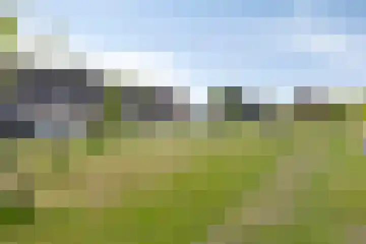 Coenderslaan 16 Nuis thumbnail 44