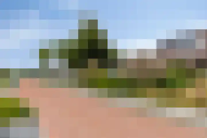 Coenderslaan 16 Nuis thumbnail 8