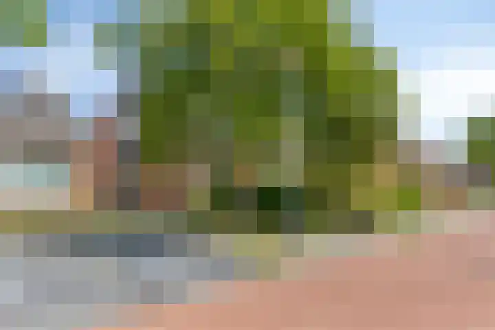 Coenderslaan 16 Nuis thumbnail 9