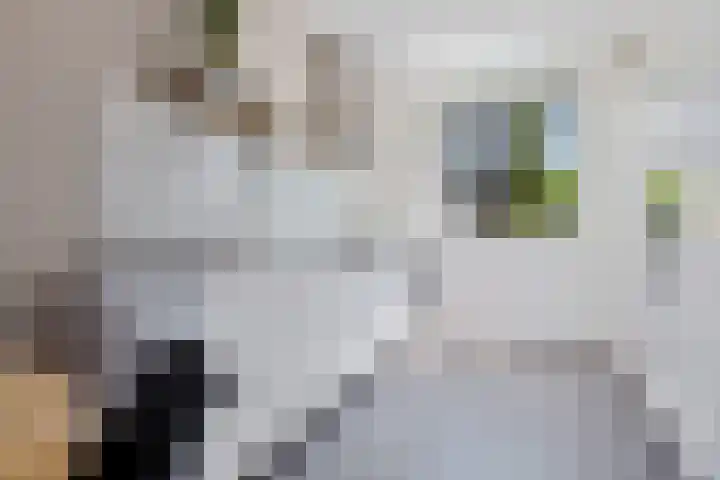 Coenderslaan 29 Nuis thumbnail 12