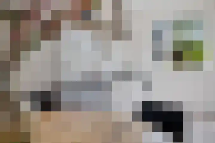 Coenderslaan 29 Nuis thumbnail 13