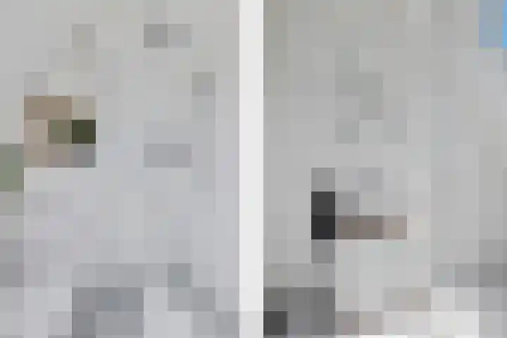 Coenderslaan 29 Nuis thumbnail 22