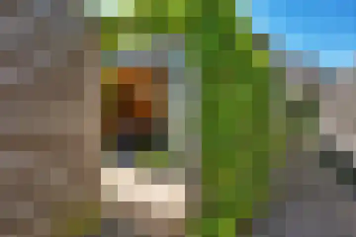Coenderslaan 29 Nuis thumbnail 23