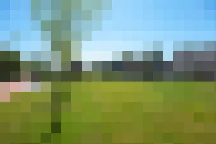 Coenderslaan 29 Nuis thumbnail 24