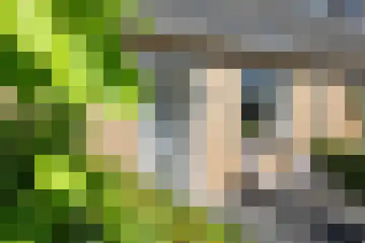 Coenderslaan 29 Nuis thumbnail 5